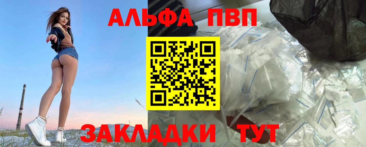 Alfa_PVP СК Грозный