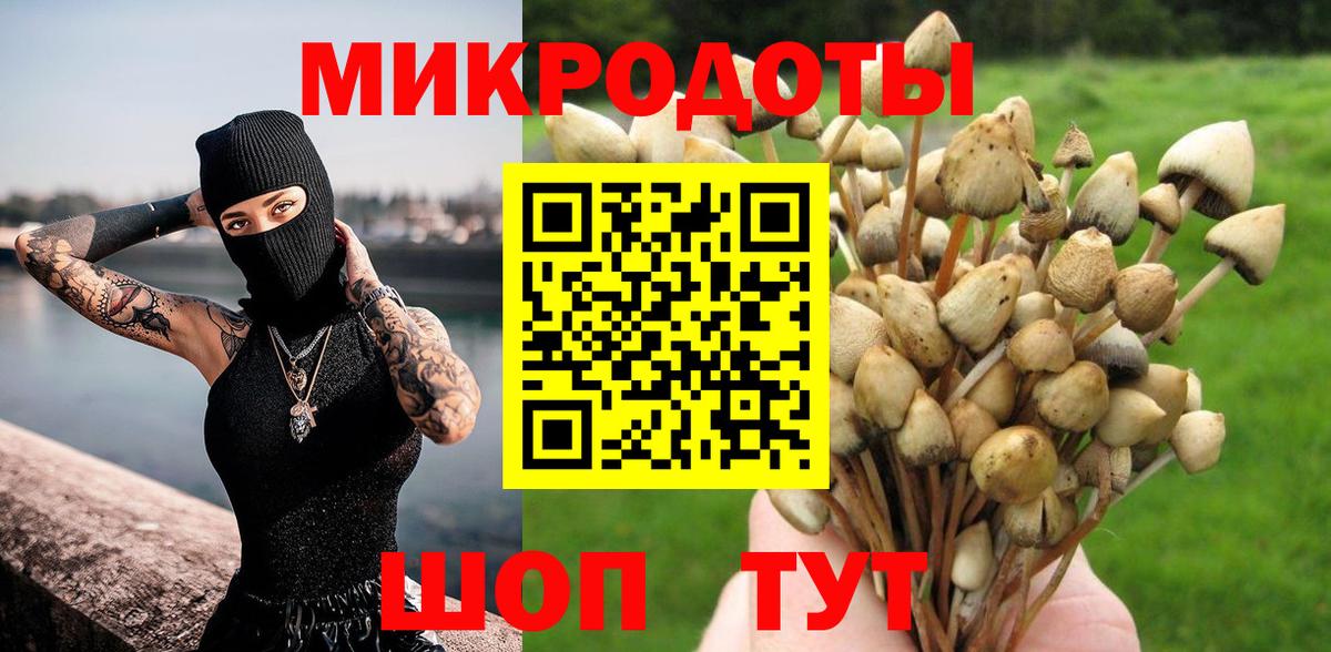 Галлюциногенные грибы Psilocybe  наркотики  Галлюциногенные грибы Magic Shrooms  Грозный  Вход с VPN 